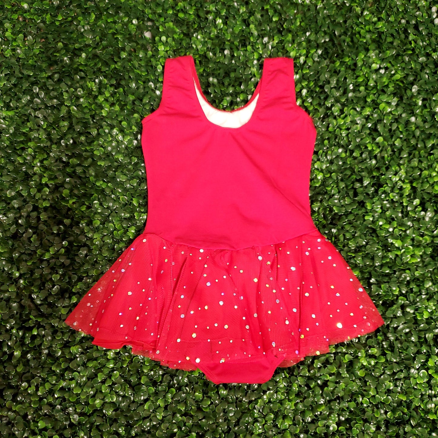 Aurelie Glitter Skirt Leotard #264