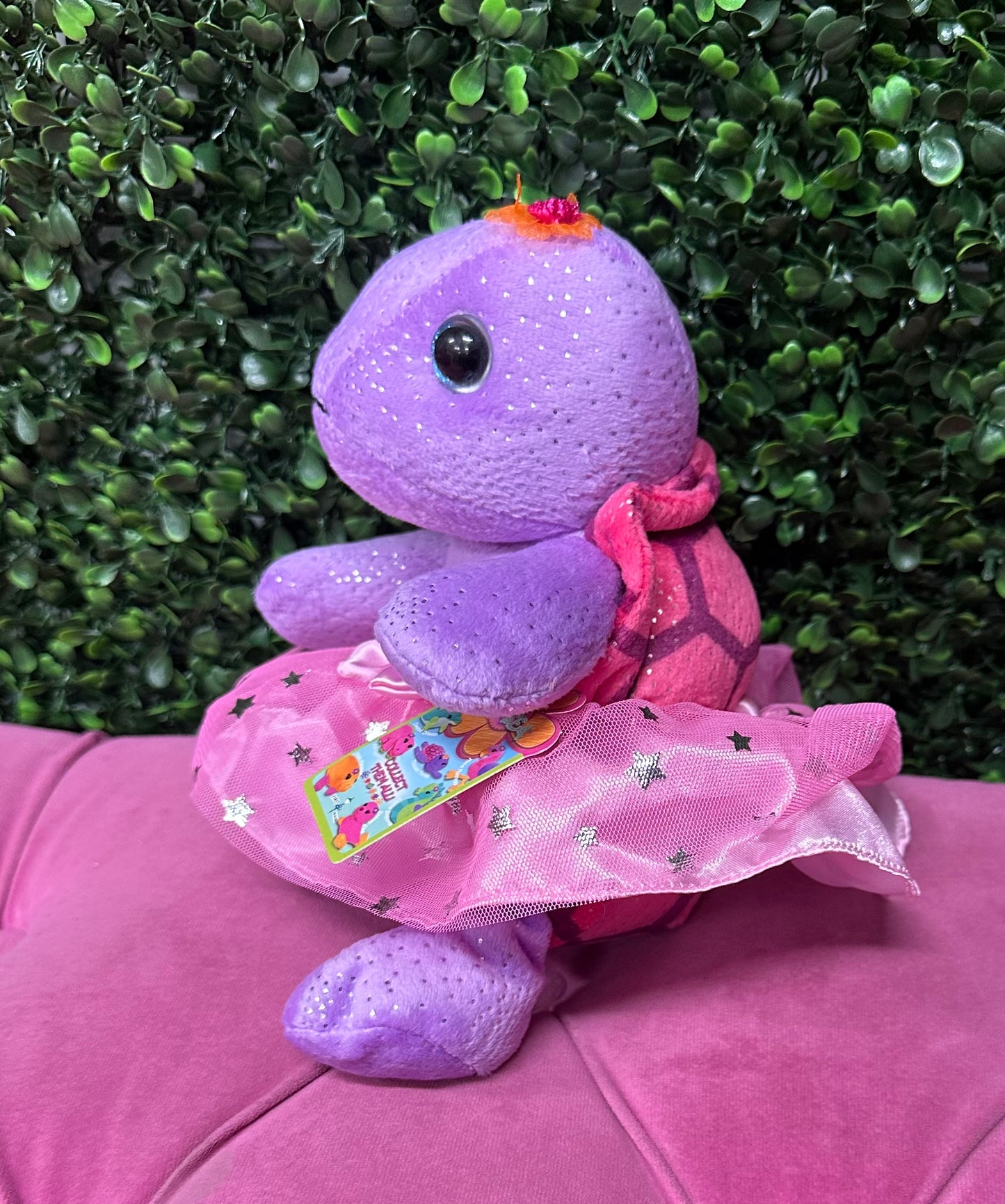Tallulah the Sitting Turtle Ballerina
