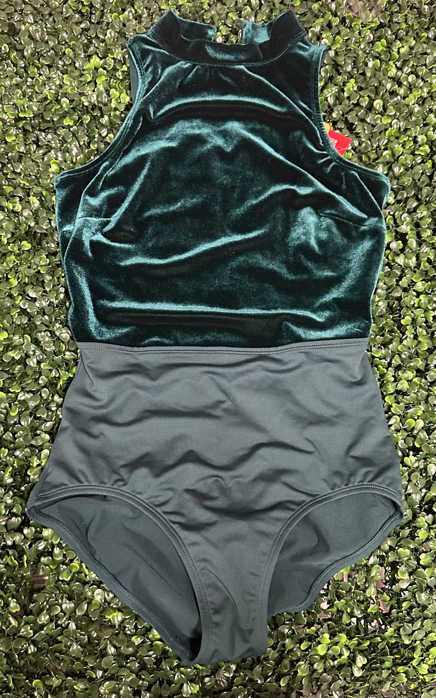 AS Cedar Leotard & Groove Short Set