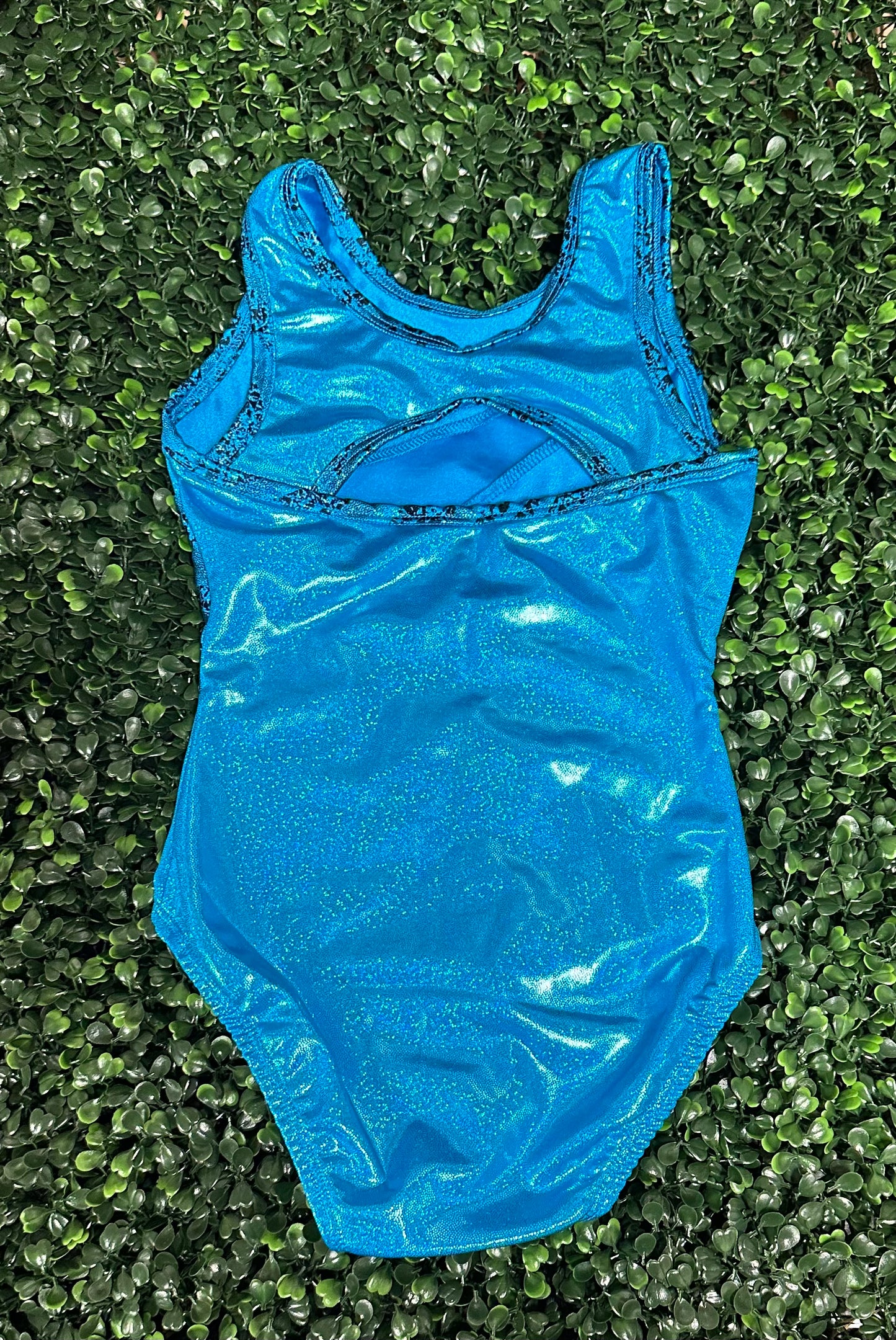 Turquoise w/ Animal Print Trim Leotard