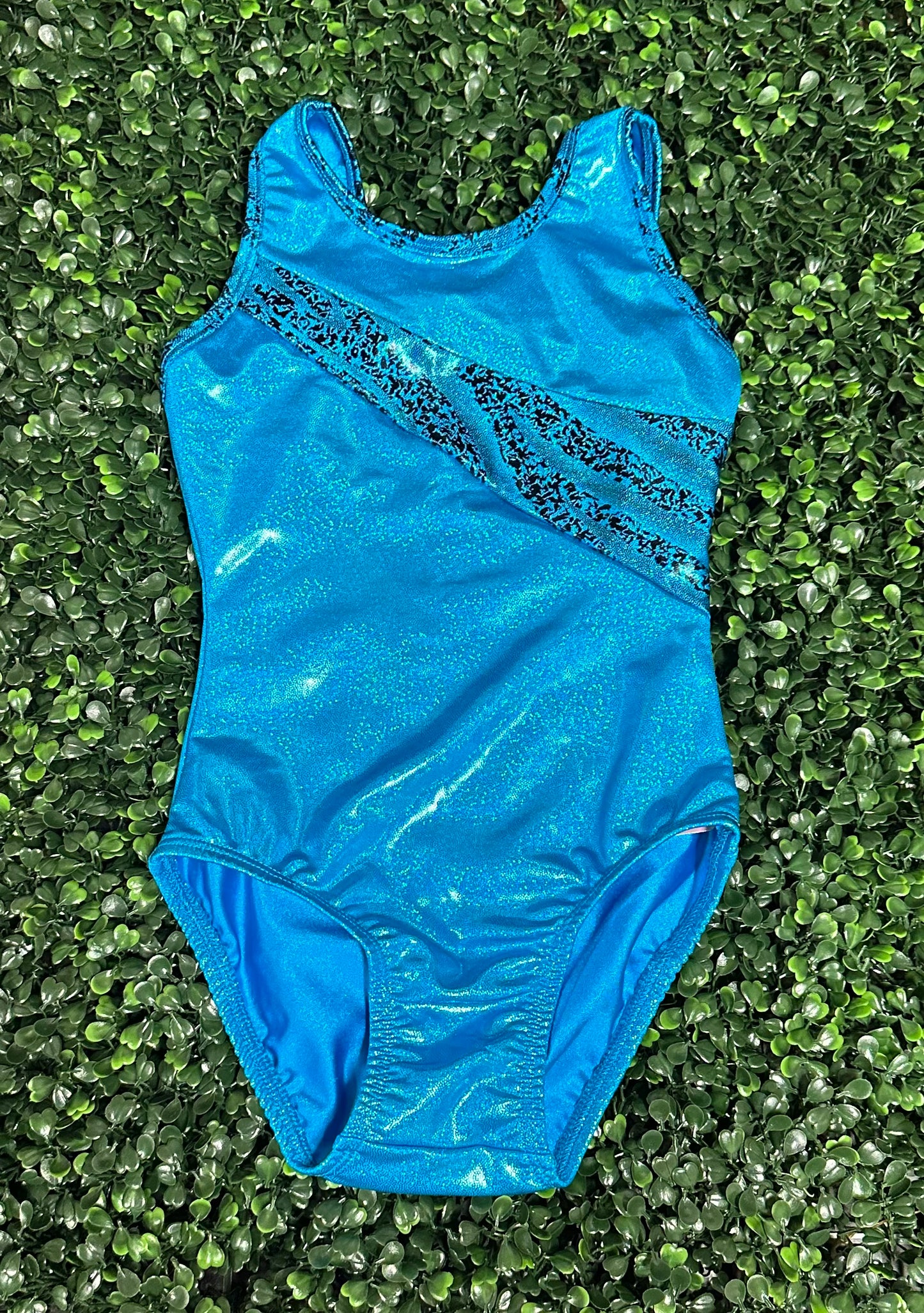 Turquoise w/ Animal Print Trim Leotard