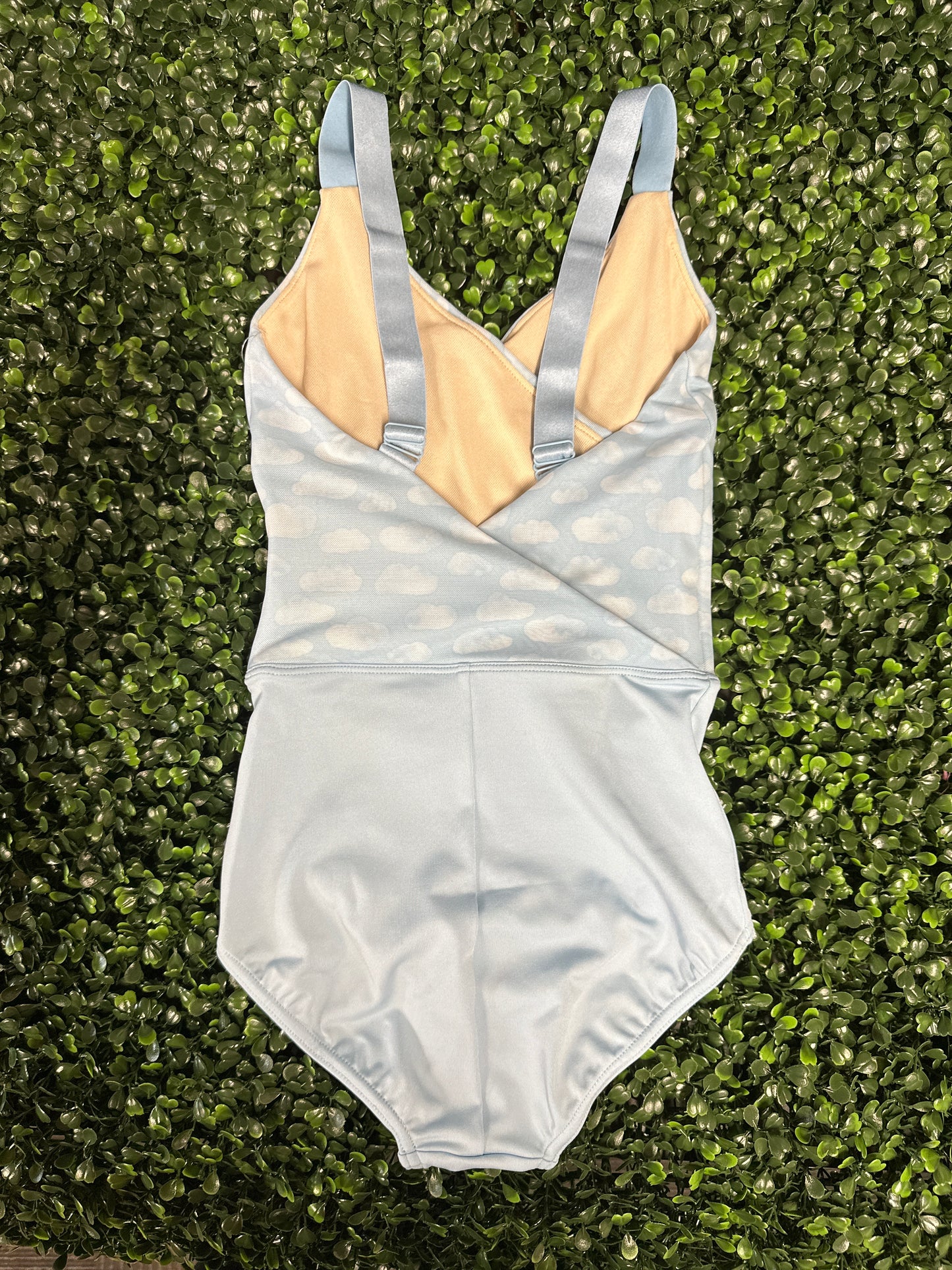 Cloud Nine Bliss Leotard #12165