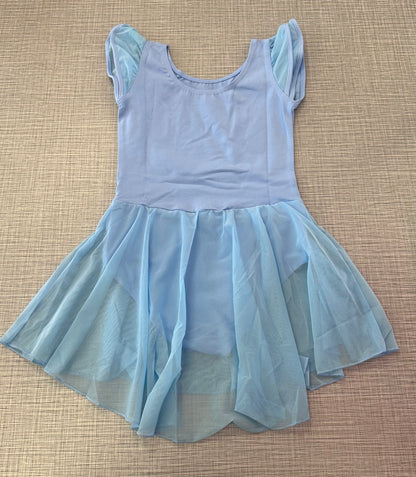 Mesh Cap Sleeve Skirted Leotard