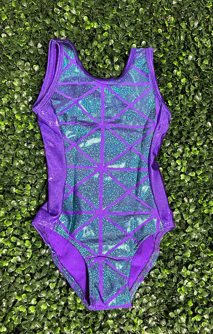 Puple w/ Green Color Block Leotard