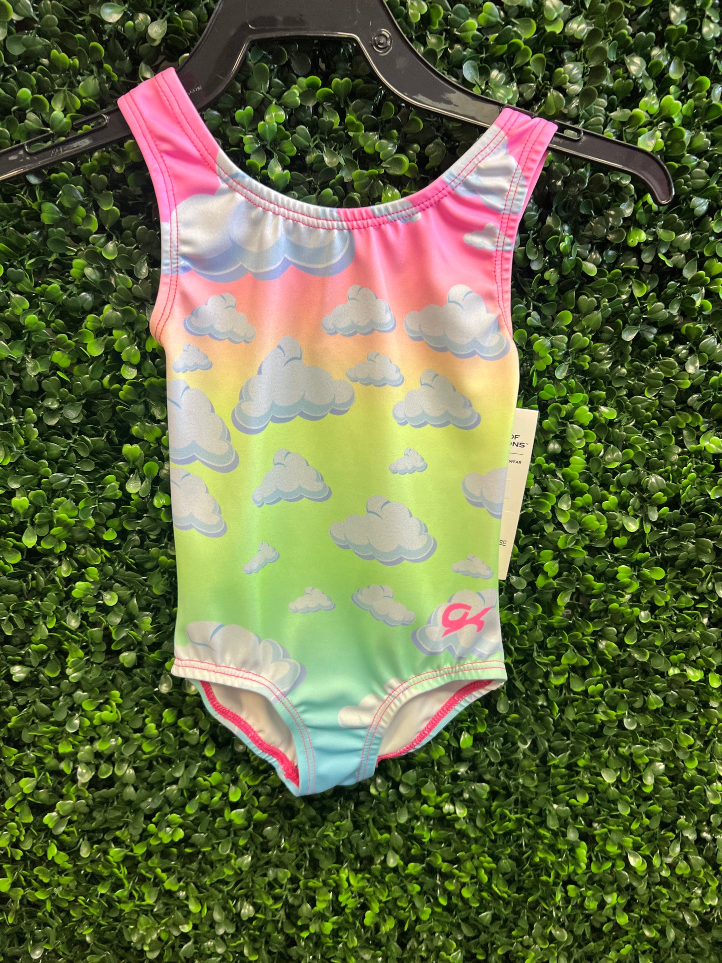 GK Rainbow Cloud Leotard: Toddler