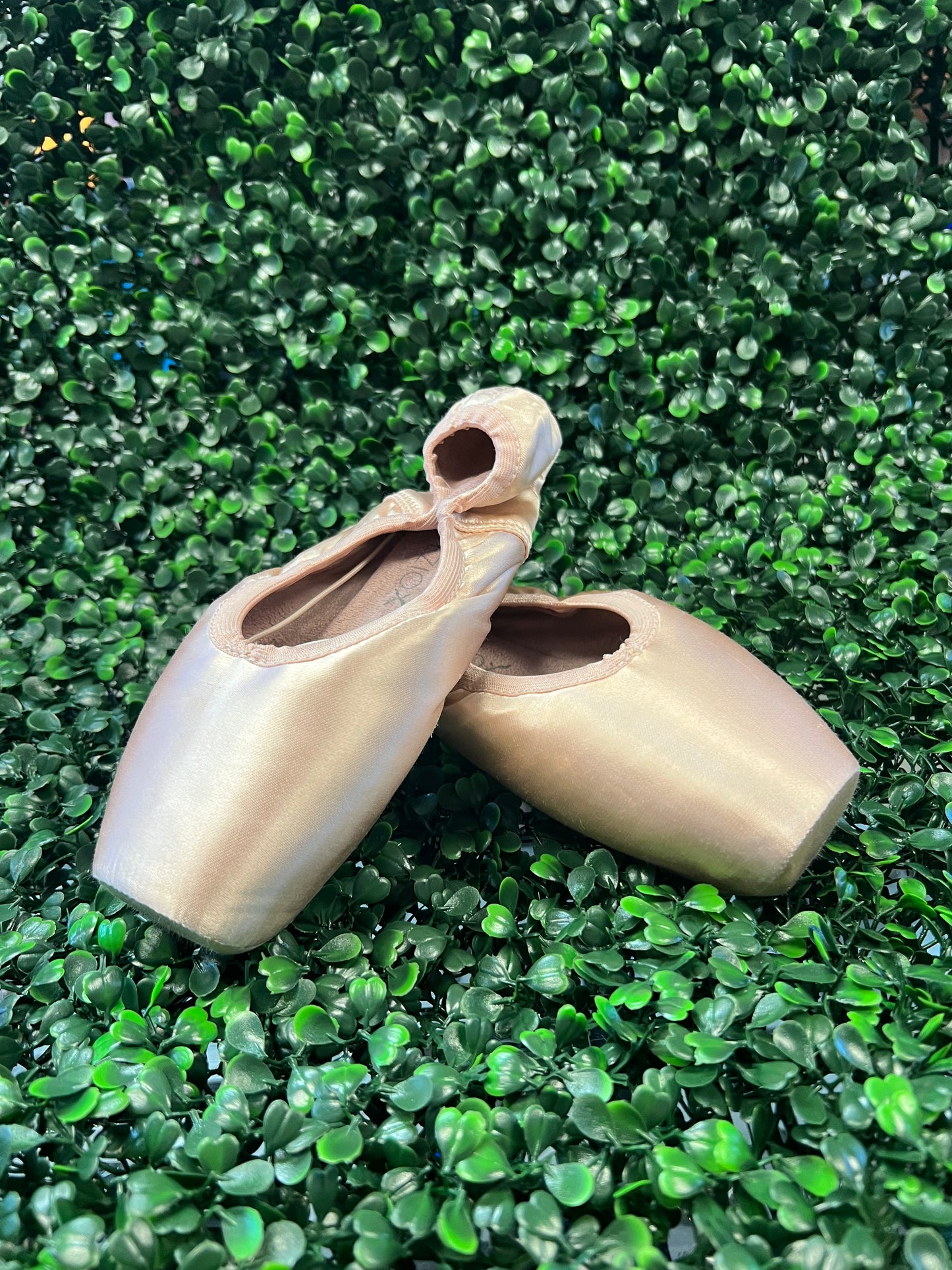 Cambré Tapered Toe #3 Shank Pointe Shoe #1127